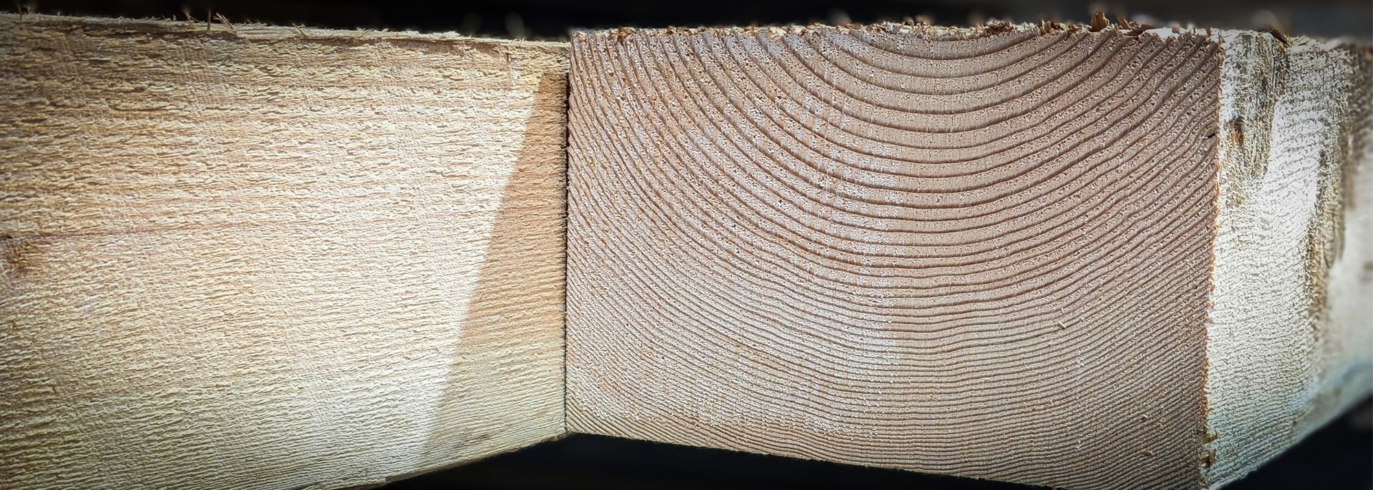 Image for what-is-free-of-heart-centre-timber
